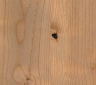 Alder Knotty