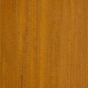 African Mahogany