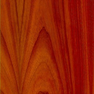 Padauk PS