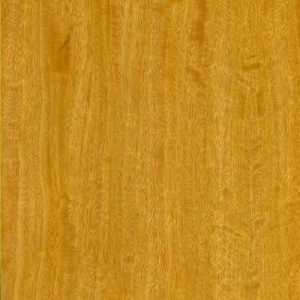 Satinwood MOV