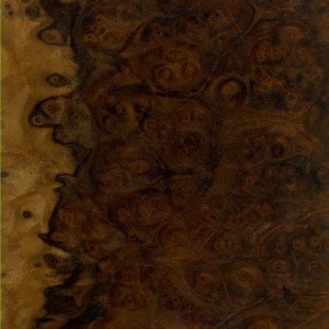 Walnut Burl
