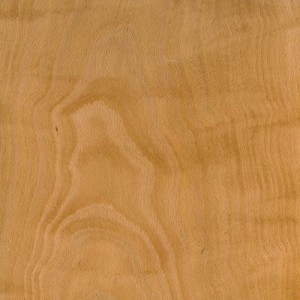 European Steamed Beech