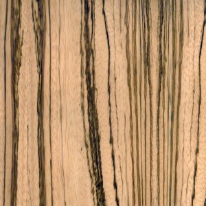 Zebrawood PS