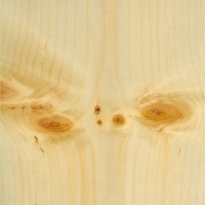Pine Knotty PS PLK