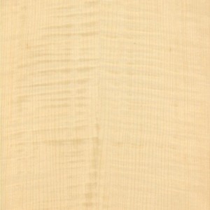 Sycamore Euro QTR FIG