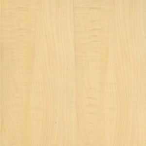 Sycamore Euro PS FIG