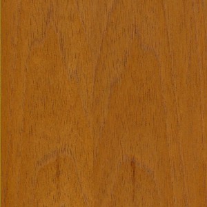 Cedar Spanish PS
