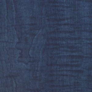 Singing the Chicago Blues