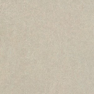 Taupe Serenity