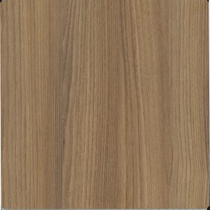 Exquisite Elm